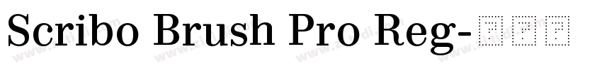 Scribo Brush Pro Reg字体转换